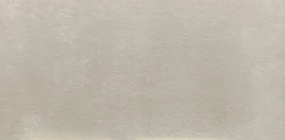 Danio Light Grey 60 x 120